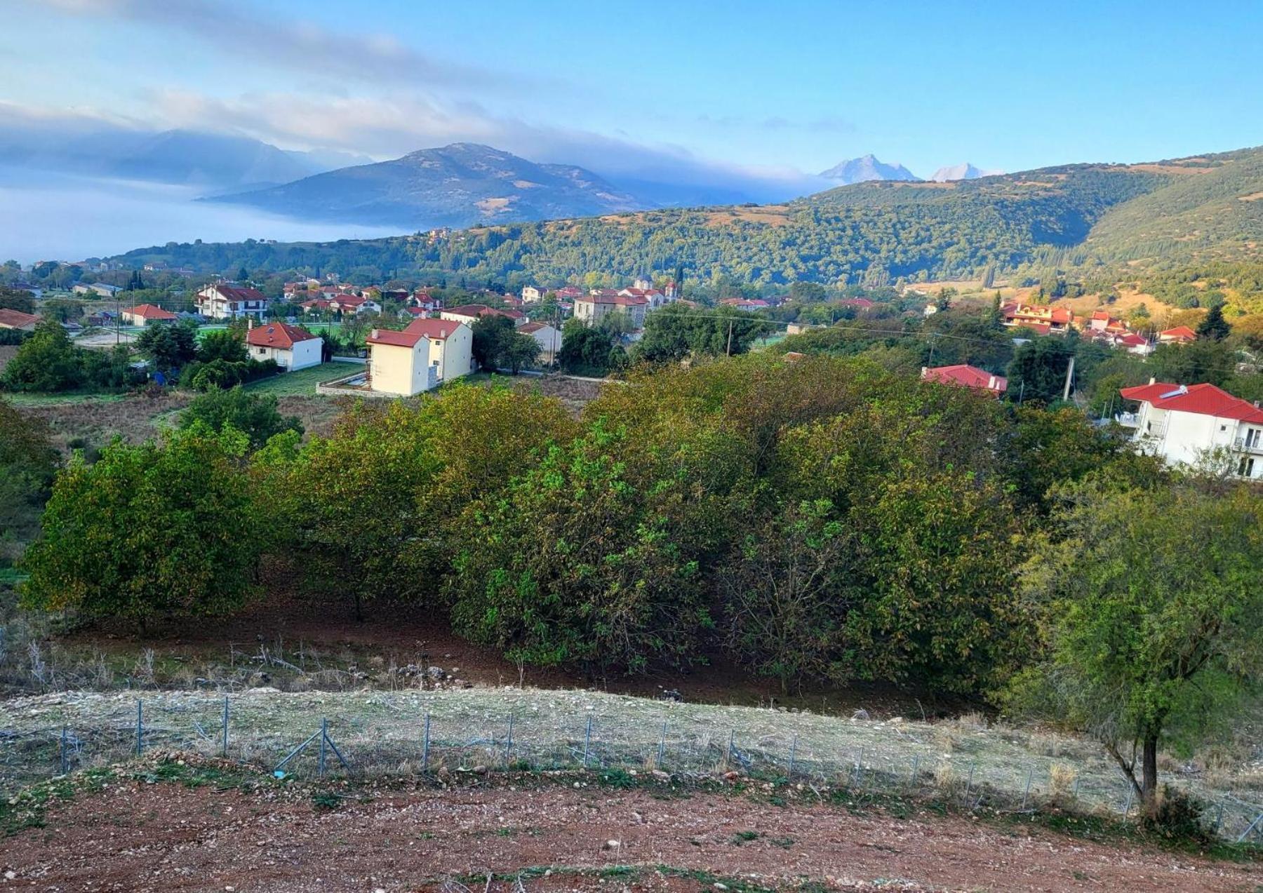 Τα Πέτρινα Στο Σκεπαστό Villa กาลาวริตา ภายนอก รูปภาพ